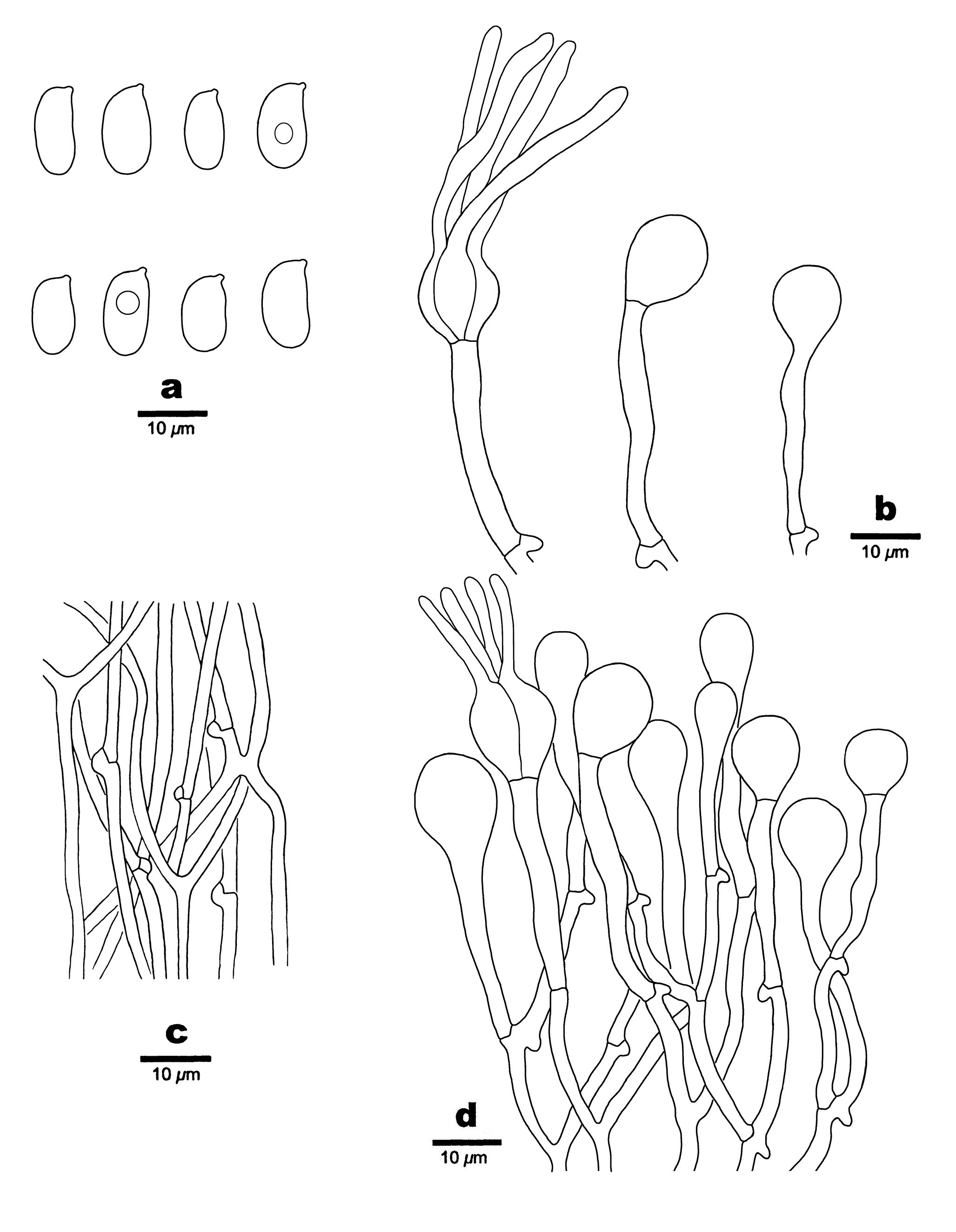 Figure 37